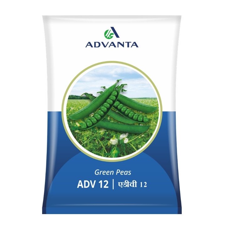 Advanta ADV 12 Green Peas Seeds