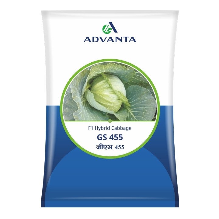 Advanta GS 455 F1 Hybrid Cabbage Seeds