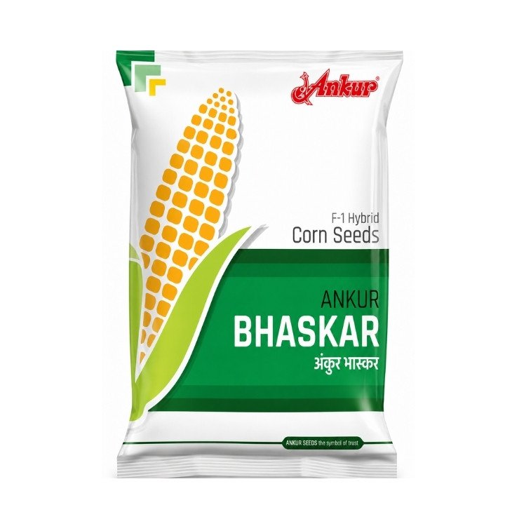 Ankur Bhaskar F1 Hybrid Maize Seeds