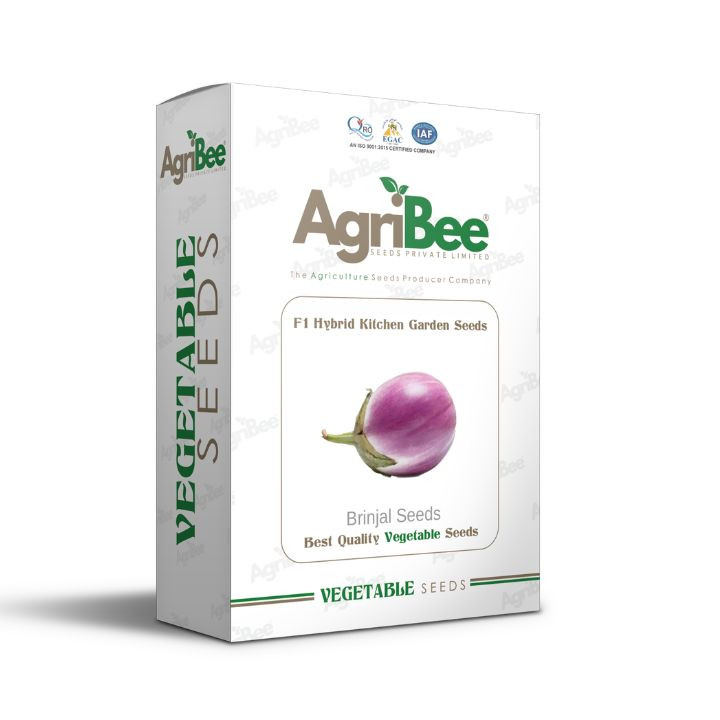 AgriBee F1 Hybrid Brinjal Seeds