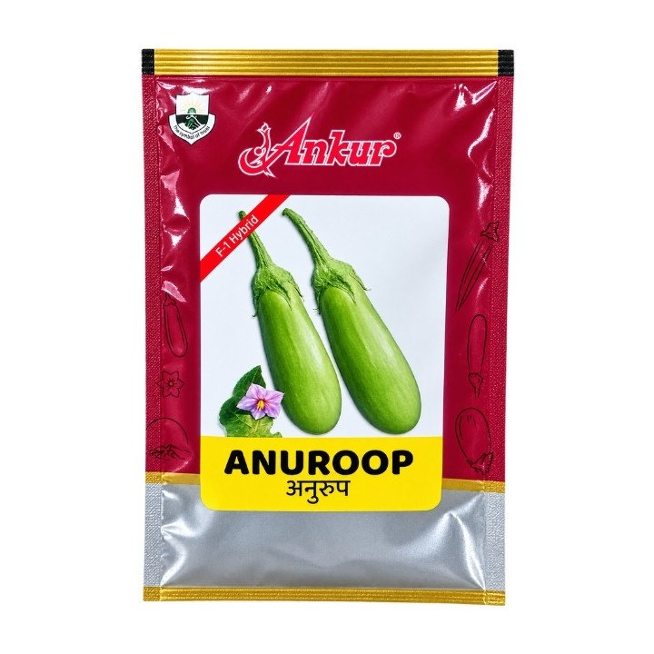 Ankur Anuroop F1 Hybrid Brinjal Seeds – Green Baingan Seeds