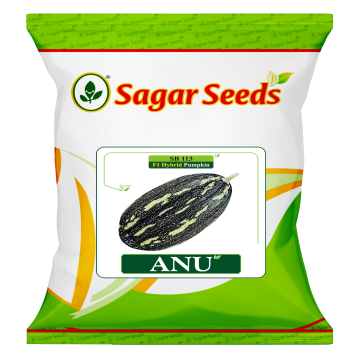 Sagar Anu F1 Pumbkin(50g)