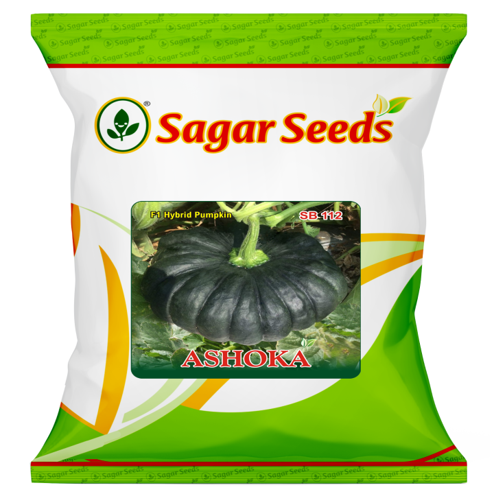 Sagar Ashoka Pumpkin Seeds