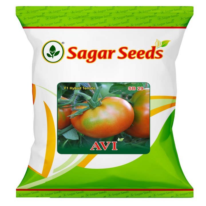 Sagar Avi F1 Tomato Seeds