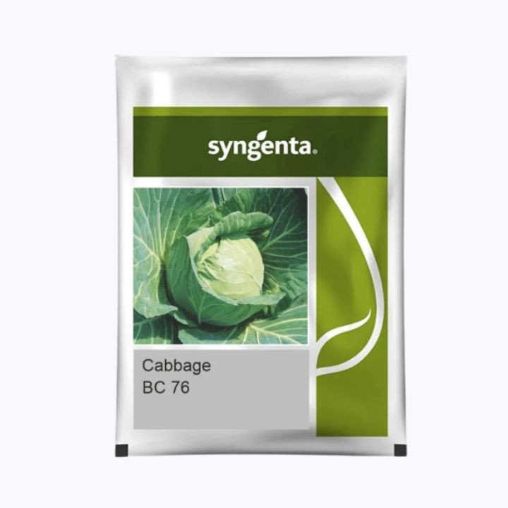 Syngenta BC 76 Cabbage Seeds