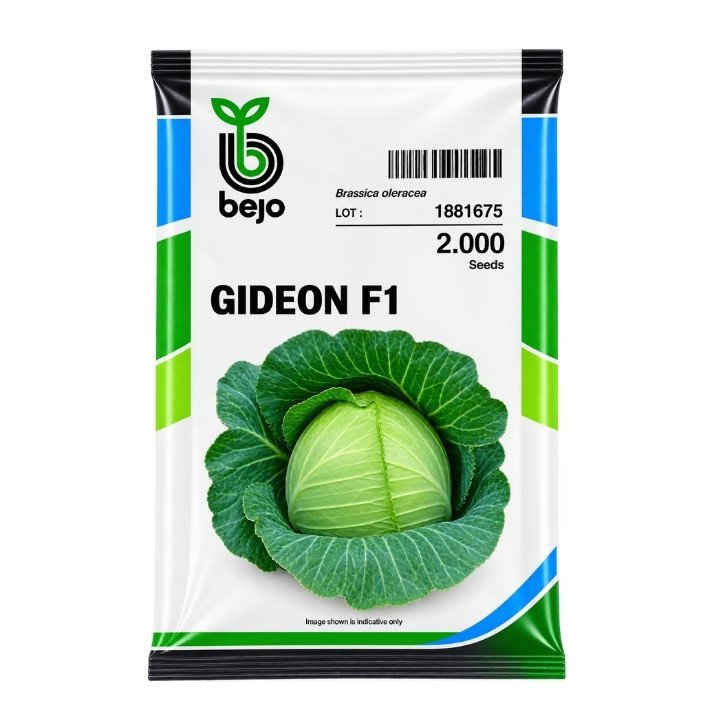 Bejo Gideon F1 Hybrid Cabbage Seeds