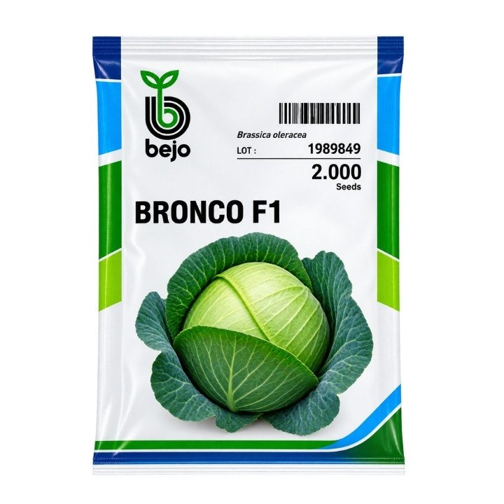 Bejo Bronco F1 White Cabbage Seed