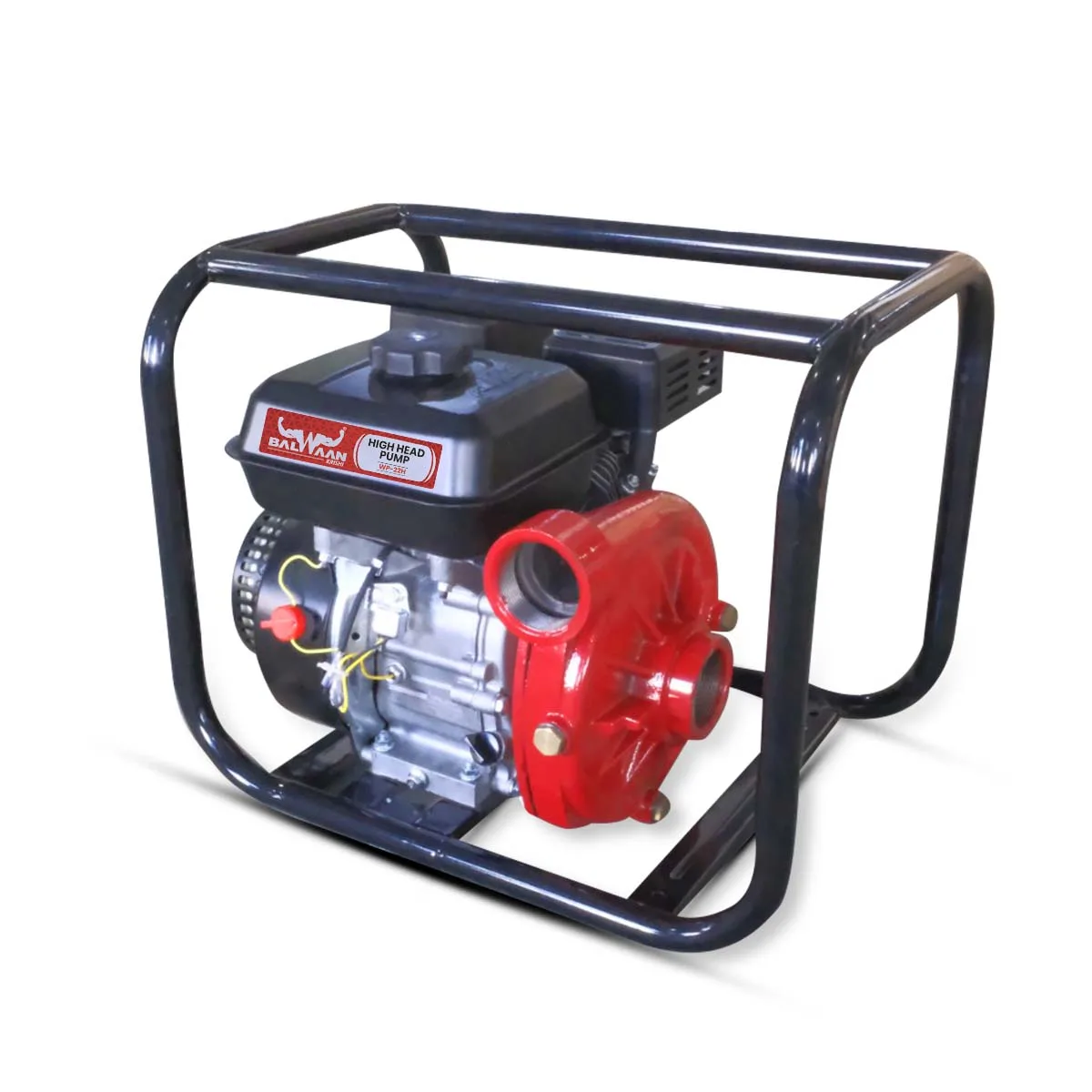 Balwaan High Head Pump 2x2 inch WP- 22H