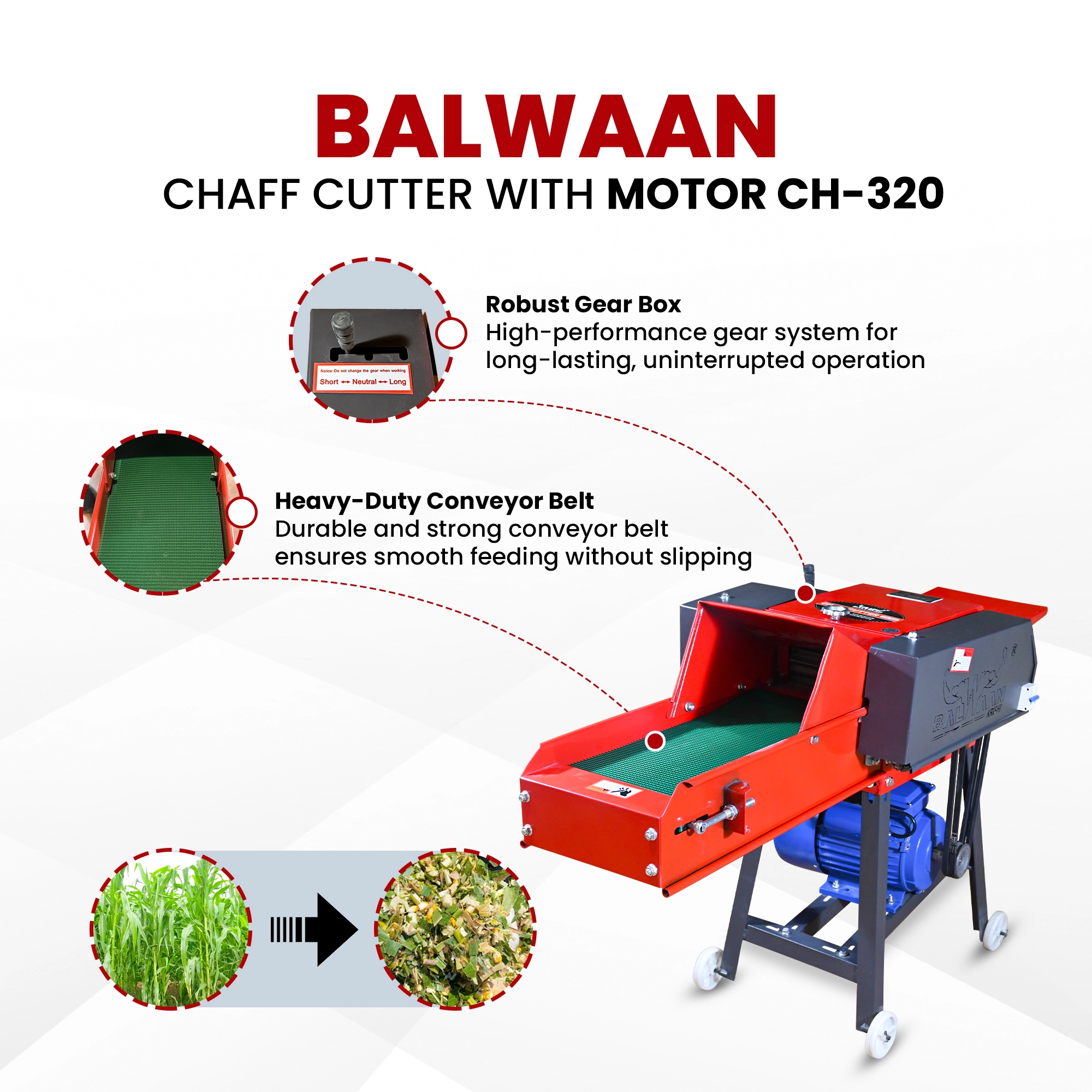 Balwaan Chaff Cutter (With Gear, Motor & Conveyor Belt) CH-320