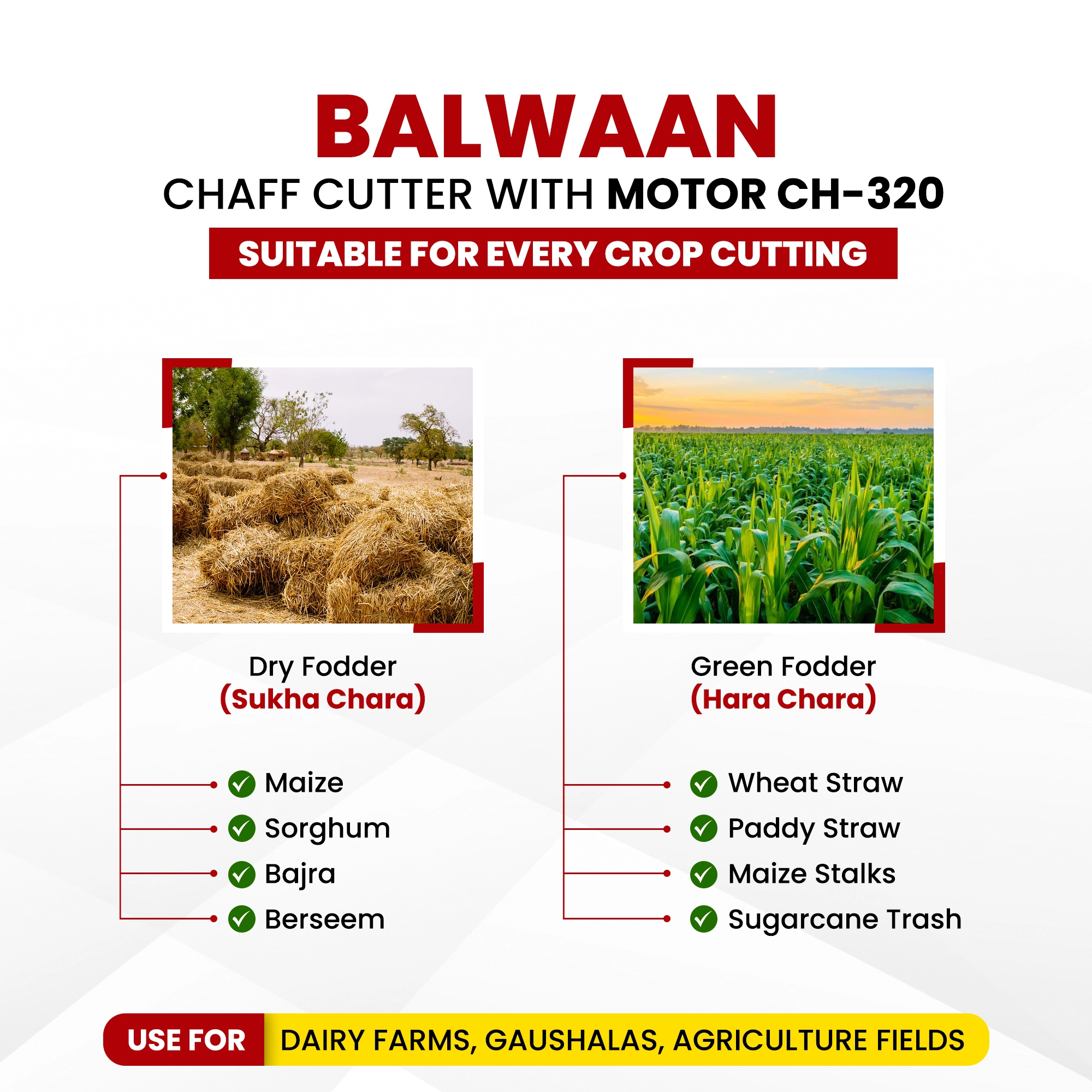 Balwaan Chaff Cutter (With Gear, Motor & Conveyor Belt) CH-320 – thumb