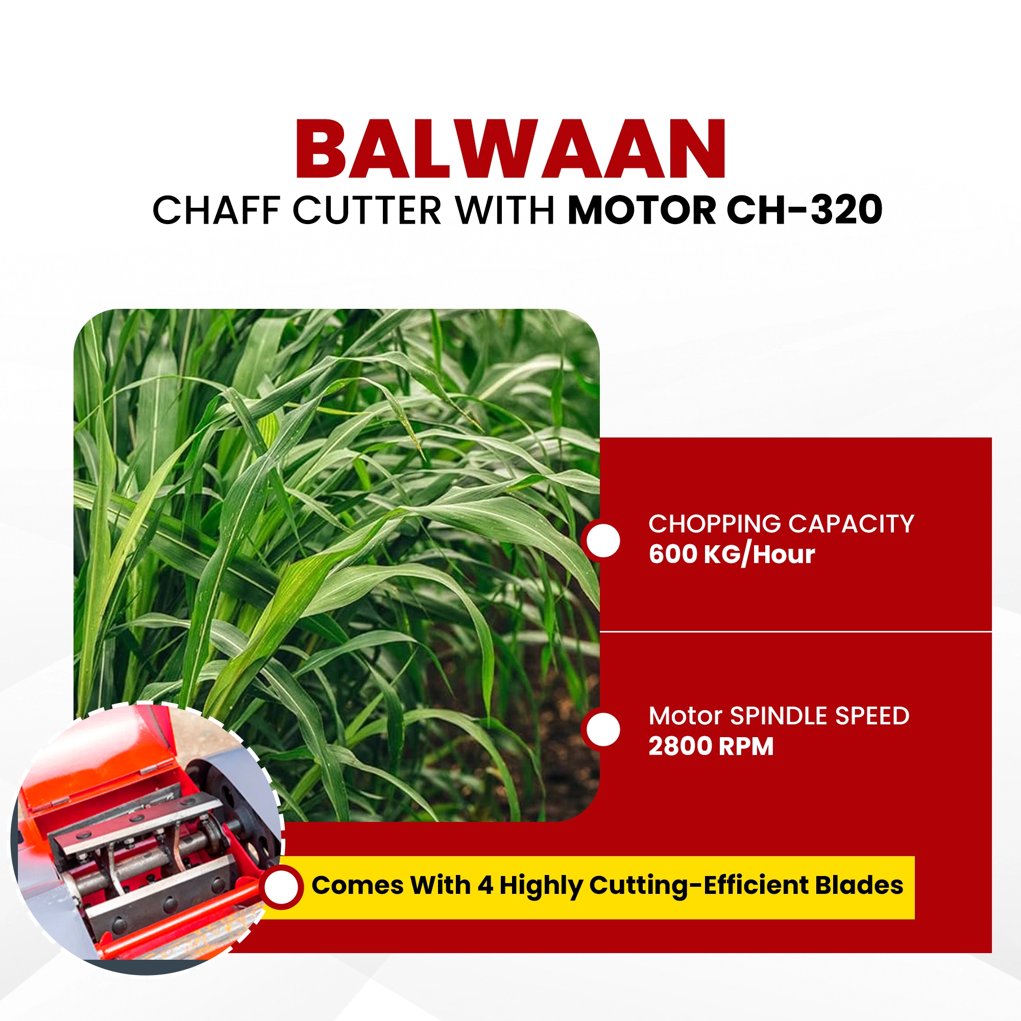 Balwaan Chaff Cutter (With Gear, Motor & Conveyor Belt) CH-320 – thumb