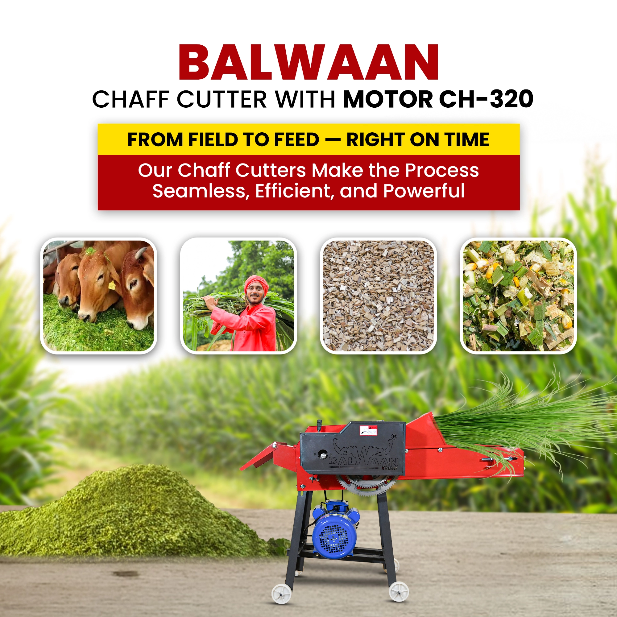 Balwaan Chaff Cutter (With Gear, Motor & Conveyor Belt) CH-320 – thumb