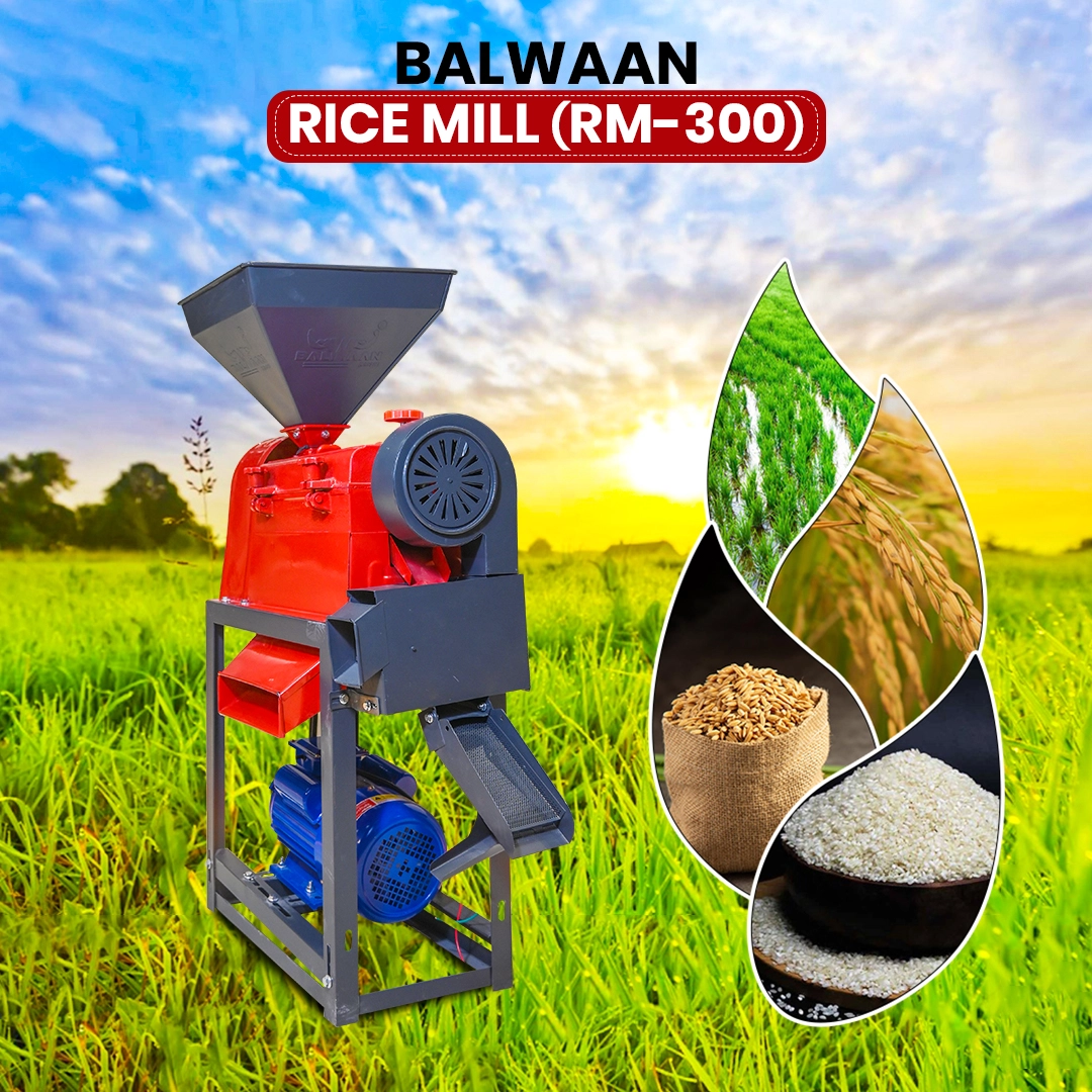 Balwaan Rice Mill CI Model RM-300 – thumb