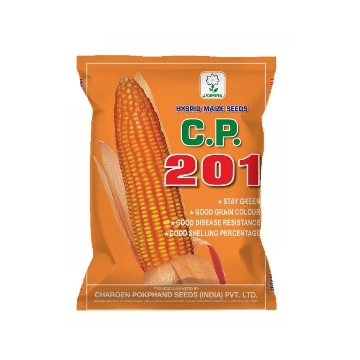 CP  201 Hybrid Maize Seeds – Stay Green High Yield Corn Seeds