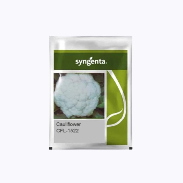 Syngenta CFL 1522 Cauliflower Seeds