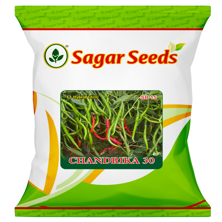 Sagar Chandrika 30 Chilli (Mirchi) Seeds
