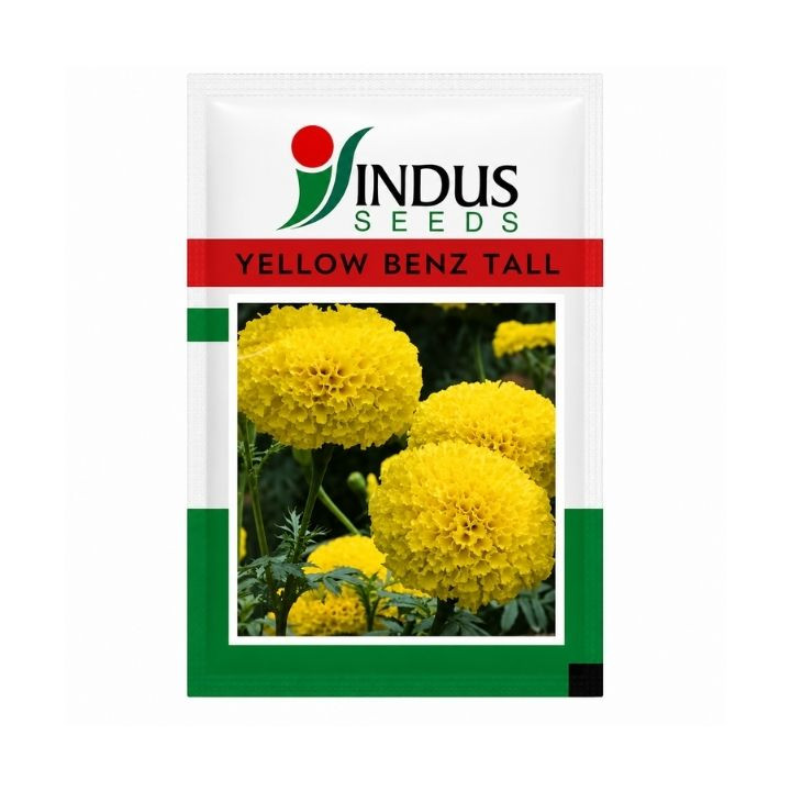 Indus F1 Hybrid Yellow Benz Tall Flower Seeds