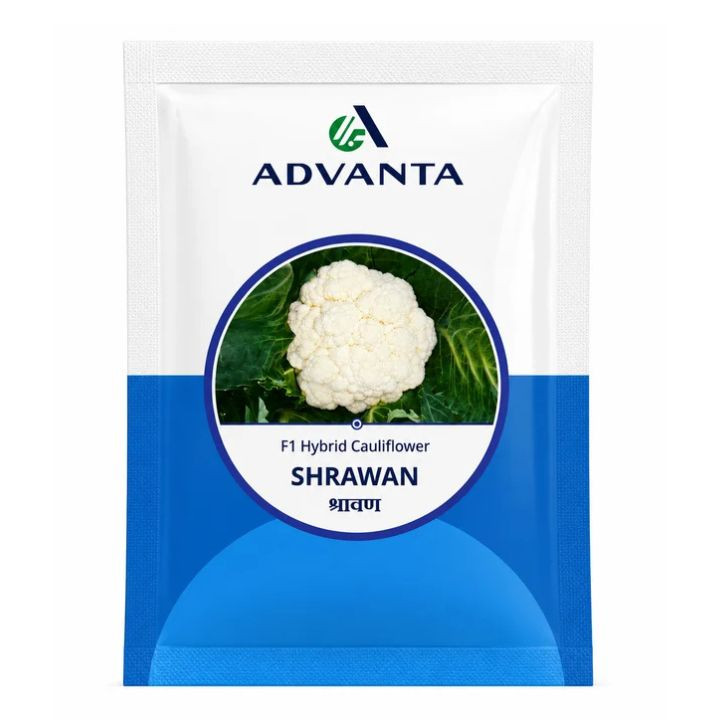 Advanta Shrawan F1 Hybrid Cauliflower Seeds