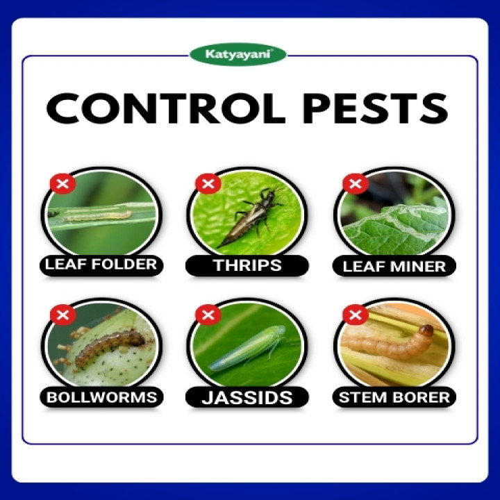 Katyayani Chloda Insecticide – thumb