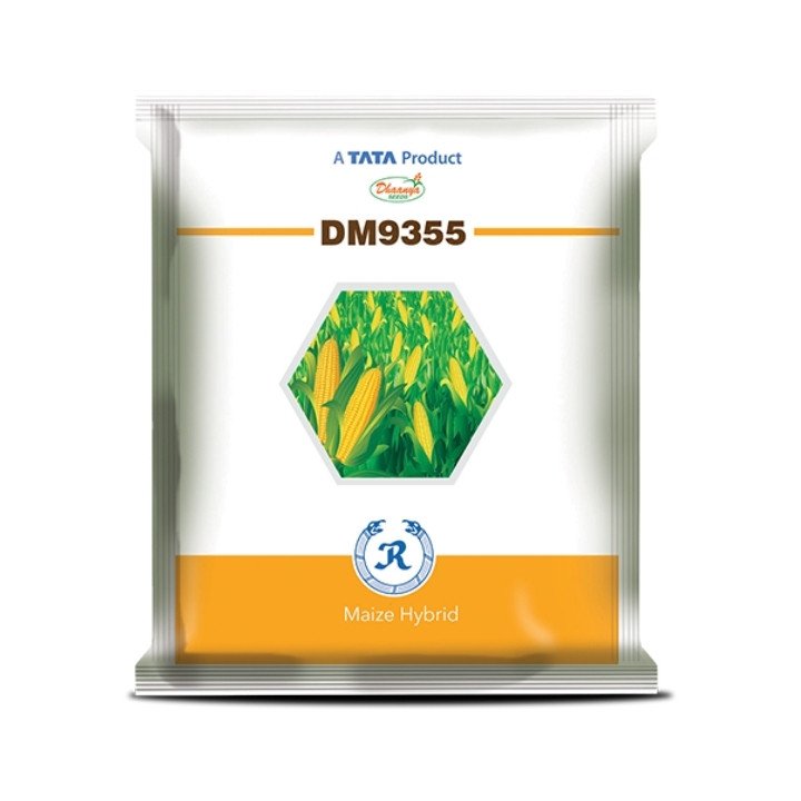 Dhaanya DM9355 Hybrid Maize Seeds