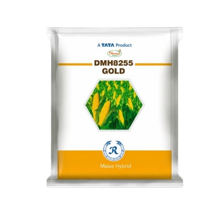 Dhaanya DMH 8255 Gold Hybrid Maize Seeds