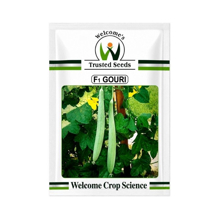 Welcome F1 Gouri White Sponge Gourd Hybrid Seeds
