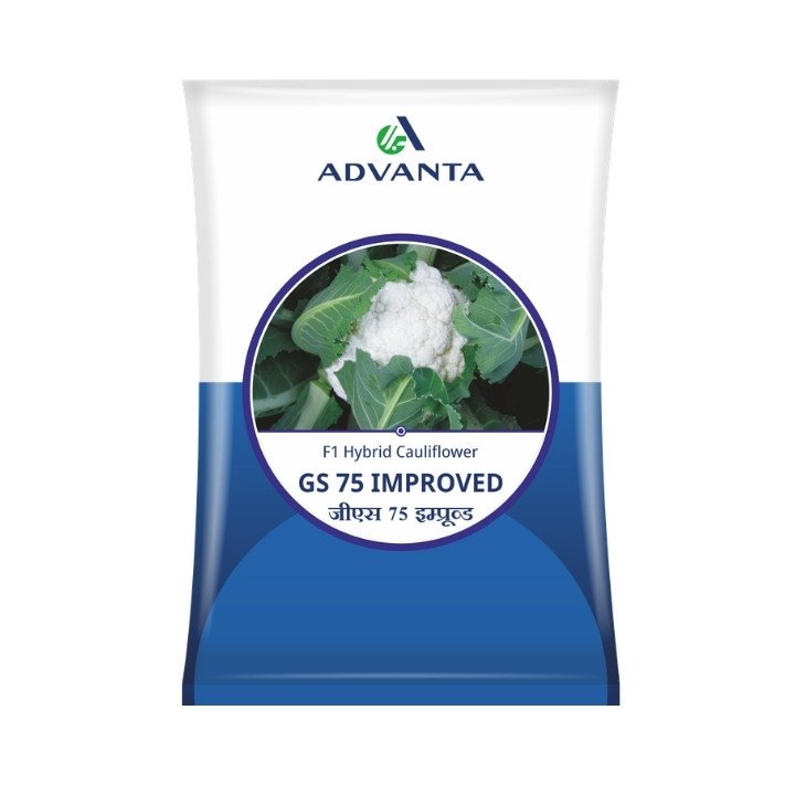Advanta GS-75 Improved F1 Hybrid Cauliflower Seeds
