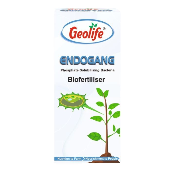 Geolife Endogang Phosphate Solubilising Bacteria (PSB) Biofertilizer