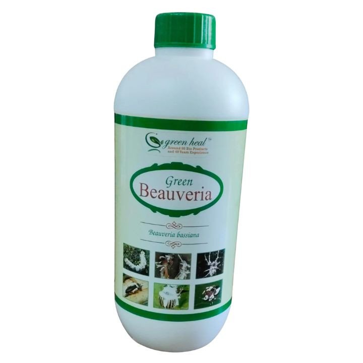 Greenlife Biotech Green Beauveria Bio Insecticide (Beauveria bassiana)