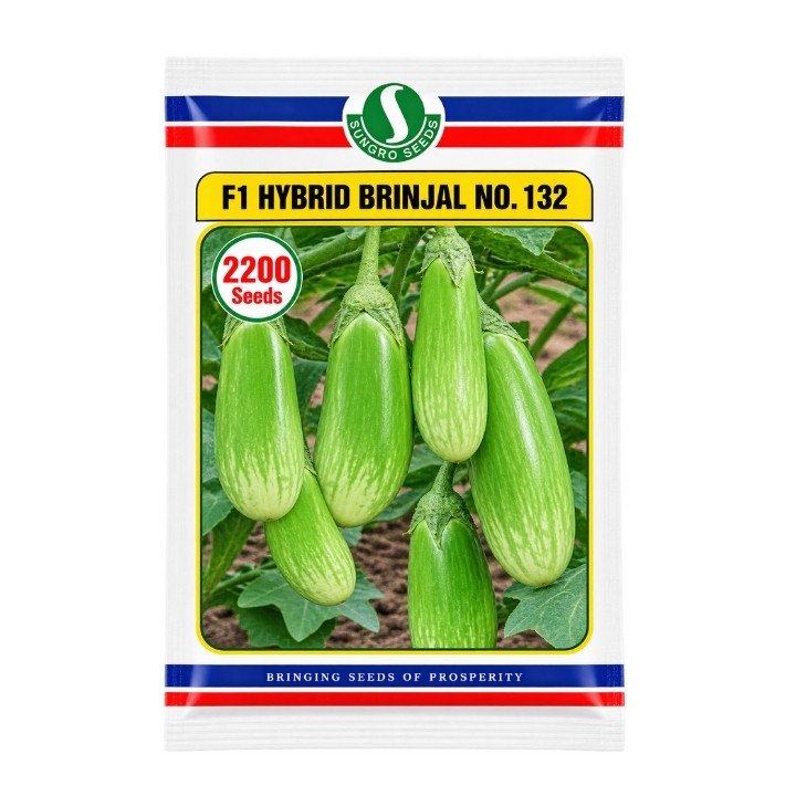 Sungro No.132 F1 Hybrid Brinjal Seeds