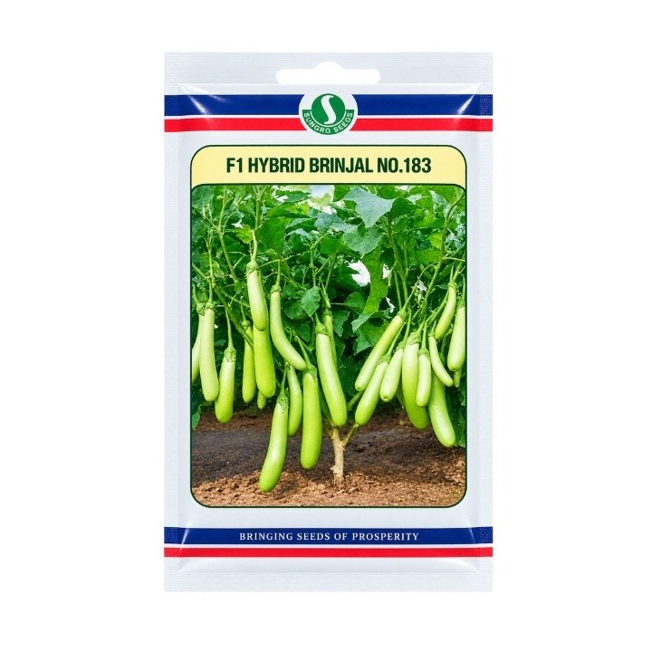 Sungro No.183 F1 Hybrid Brinjal Seeds – Long Green Baingan