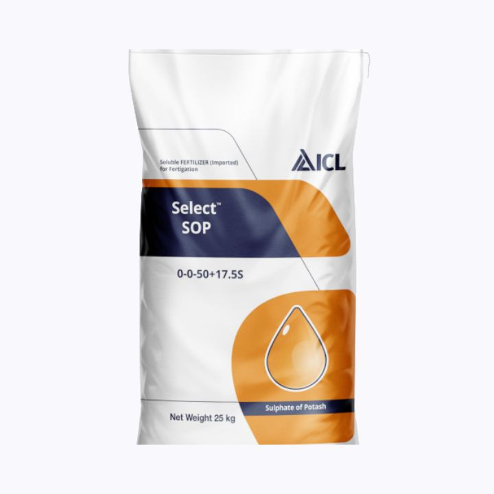 CL Water Soluble SOP 00:00:50 + 17.5S Potassium Sulphate Fertilizer