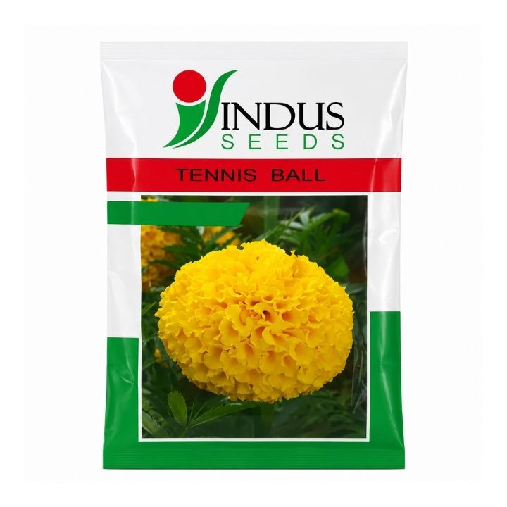 Indus F1 Hybrid Tennis Ball Marigold Flower Seeds