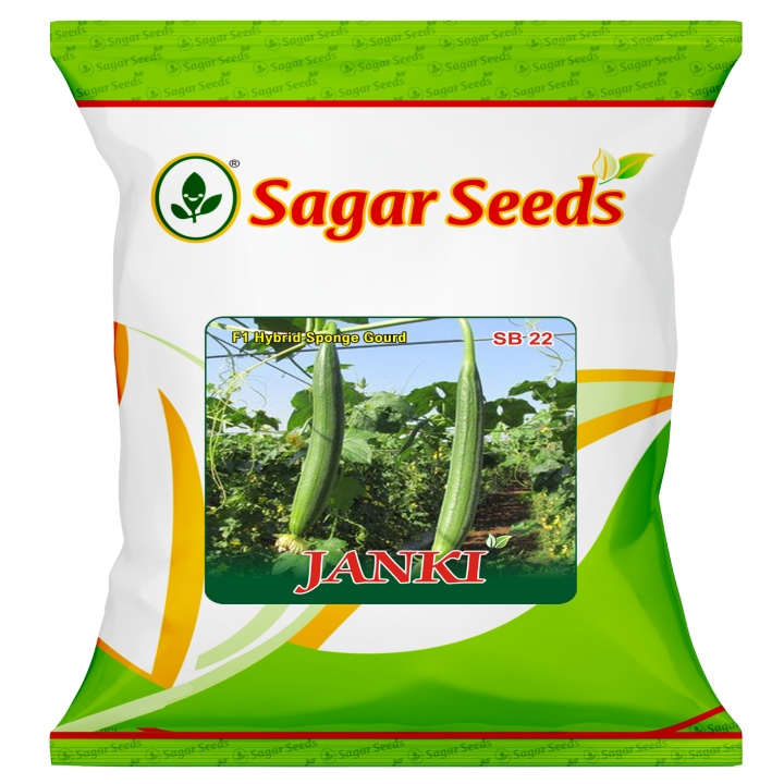 Sagar Janki F1 Spongegaurd (50g)