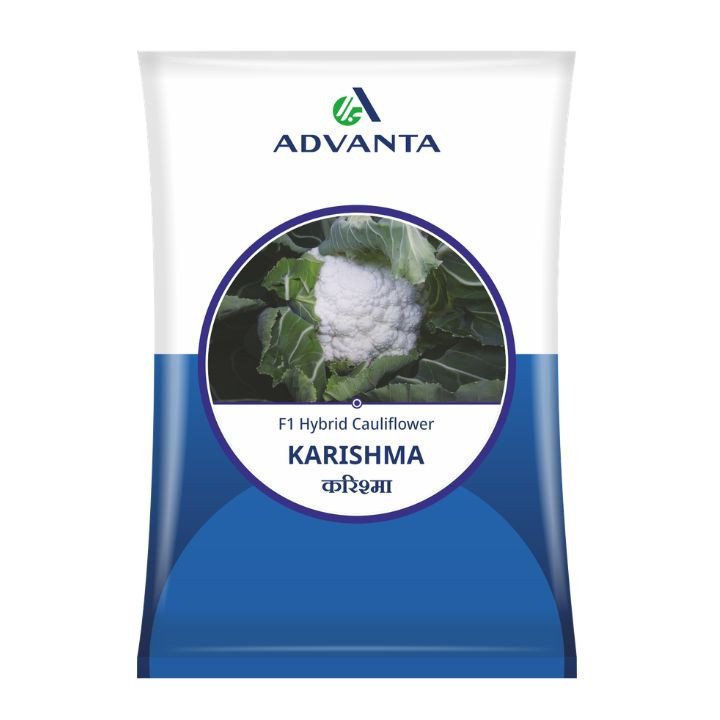 Advanta Karishma F1 Hybrid Cauliflower Seeds