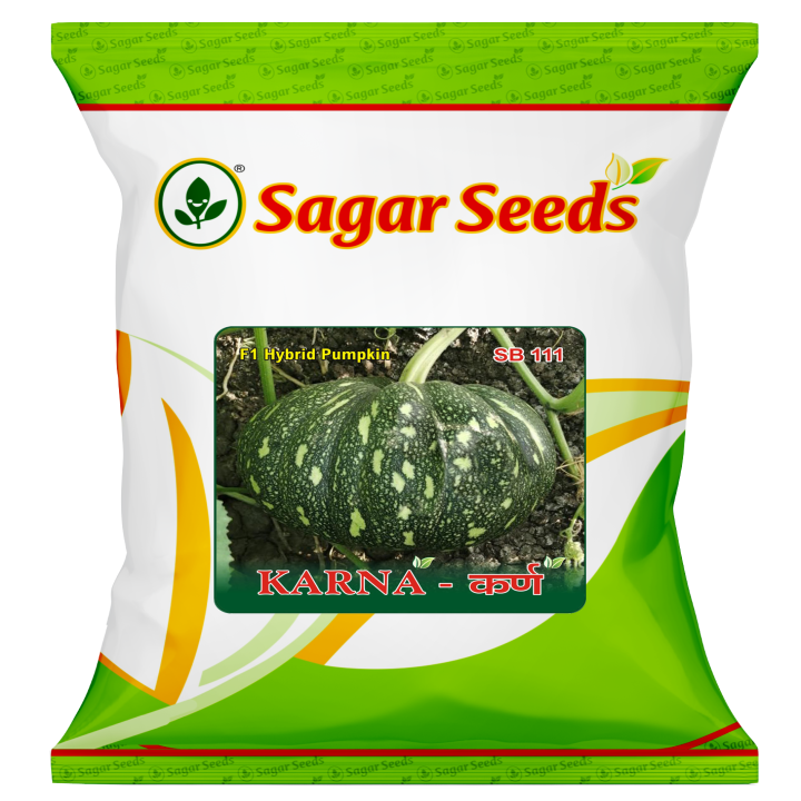 Sagar Karna Pumpkin Seeds