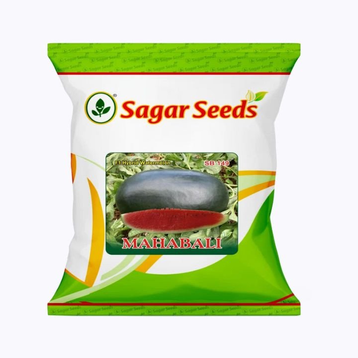 Sagar Mahabali Watermelon Seeds