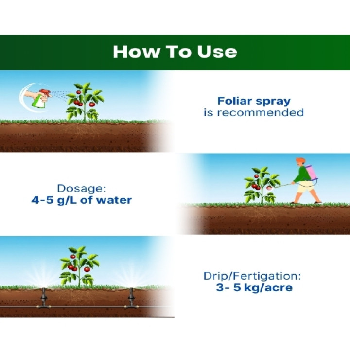 Katyayani NPK 12:61:00 Fertilizer – thumb