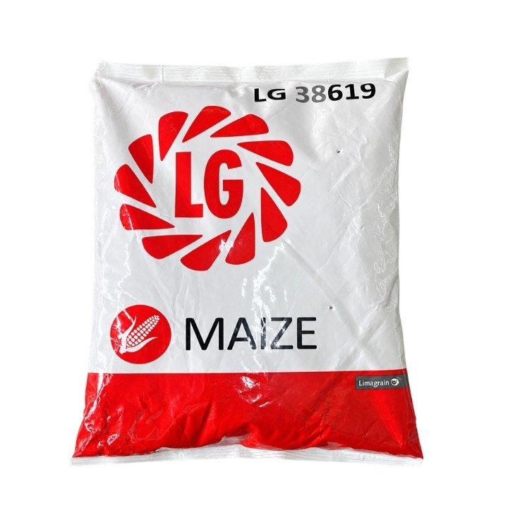 Limagrain LG 38619 Hybrid Maize Seeds