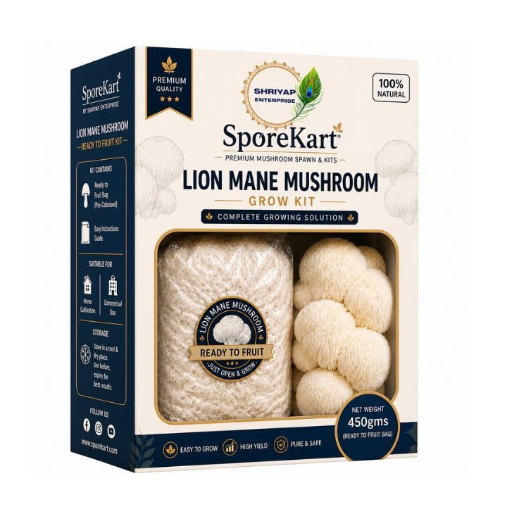 SporeKart Lion's Mane Mushroom Ready to Fruit Bag