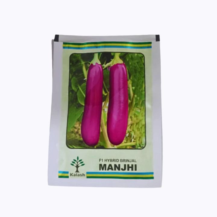 Kalash Manjhi F1 Hybrid Brinjal Seeds