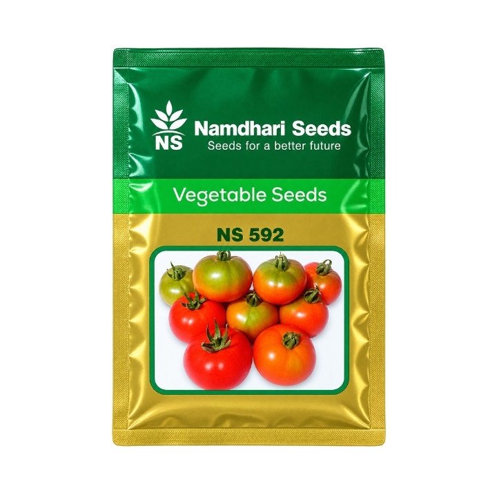 Namdhari Seeds NS 592 F1 Hybrid Tomato Seeds