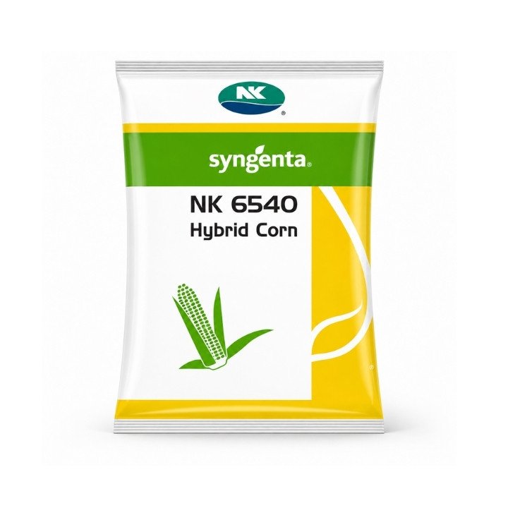 Syngenta NK 6540 Hybrid Corn Seeds