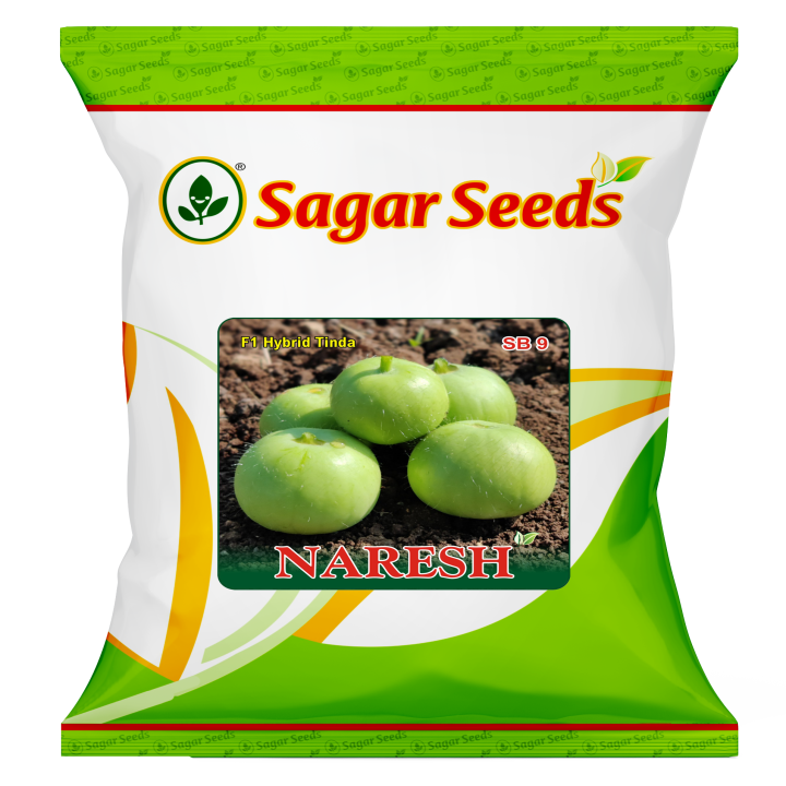 Sagar Naresh F1 Tinda Seeds