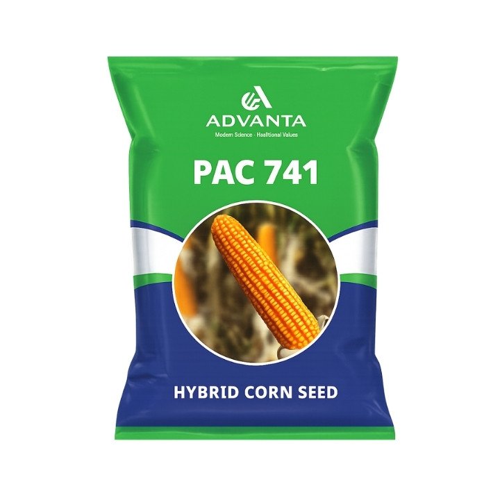 Advanta PAC 741 Hybrid Corn Seeds