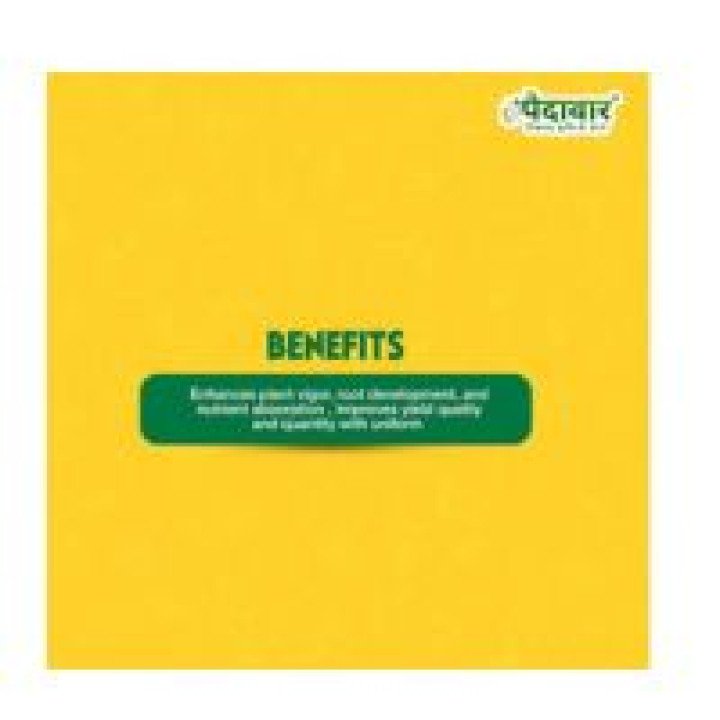 Paidavaar Rafel ++ Fertilizer - Plant Growth Regulator – thumb