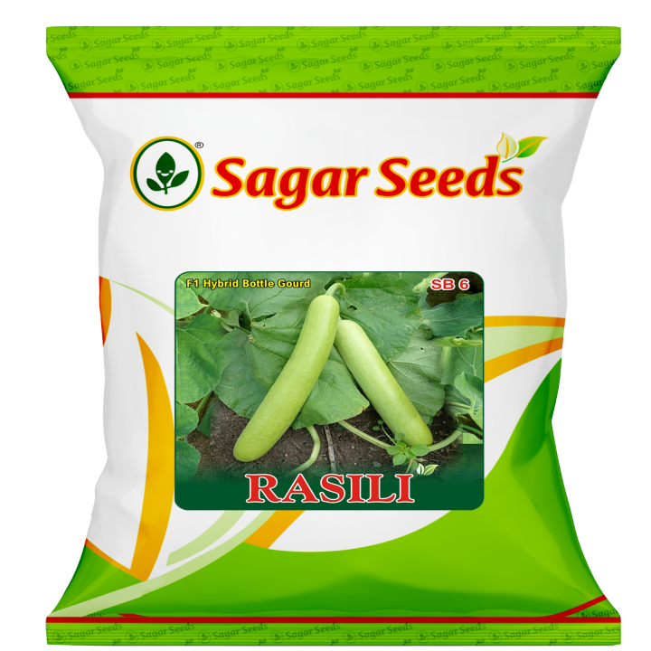 Sagar Rasili F1 Bottle Gaurd Seeds