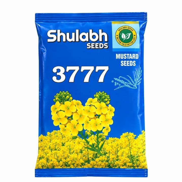 Shulabh Seeds 3777 Mustard Seeds