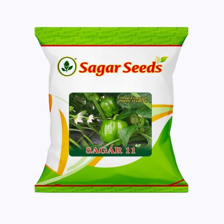 Sagar 11 Capsicum Seeds
