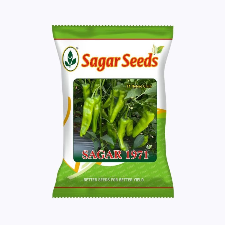 Sagar 1971 F1 Hybrid Chilli Seeds
